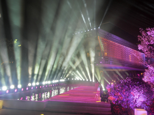 绚丽多彩的灯光秀 (6)