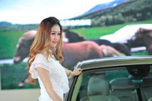 泉州车展俏丽模特 (4)