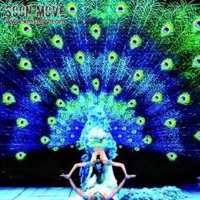 舞蹈《雀之恋》