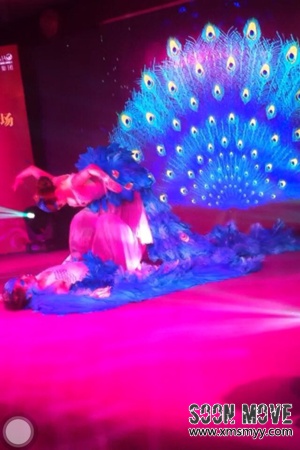 舞蹈《雀之恋》现场演出4