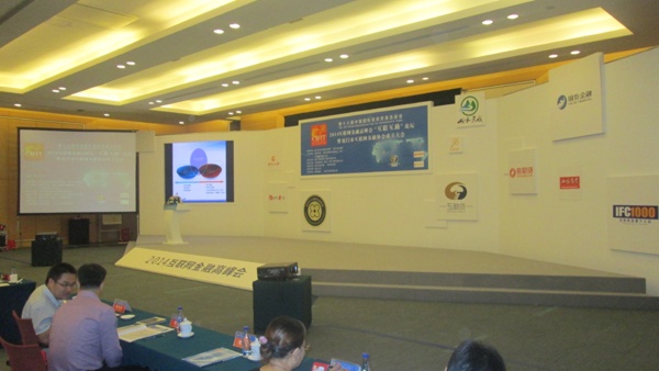 2014互联网金融高峰会会场舞台