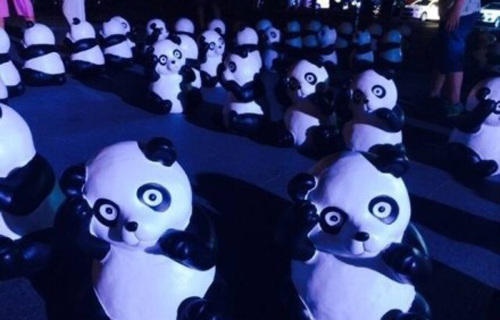 新浪厦门三周年庆典熊猫公仔萌翻天