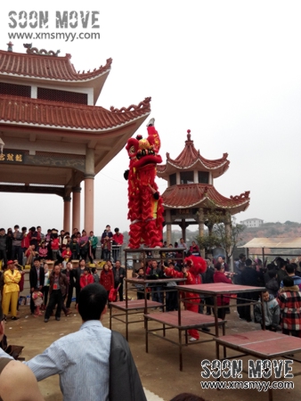 泉州祭祀活动舞狮表演5