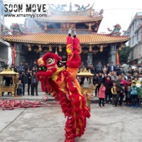 庙会舞狮表演