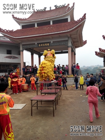 泉州安溪庙会活动舞狮表演