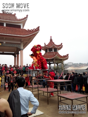 泉州安溪庙会活动舞狮表演2
