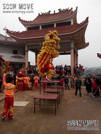 泉州安溪庙会活动舞狮表演8