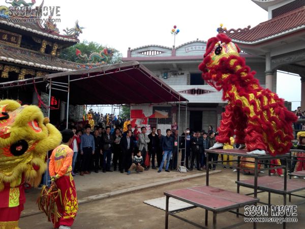 泉州安溪庙会活动舞狮表演9