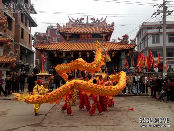 泉州安溪庙会活动舞龙表演 (5)